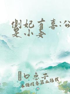 侧妃有喜:公主是小妾