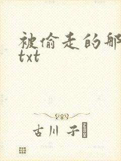 被偷走的那五年txt