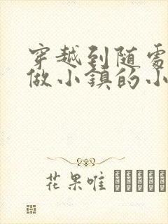 穿越到随处可以做小镇的小说