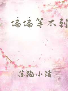 偏偏等不到小说