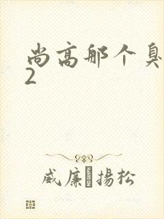 尚高那个臭小子2