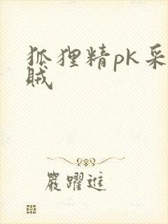 狐狸精pk采花贼