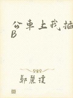 公车上我插上骚B