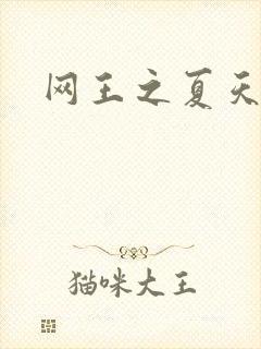 网王之夏天