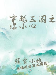 穿越三国之孔明你小心