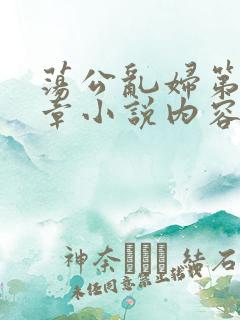 荡公乱妇第51章小说内容