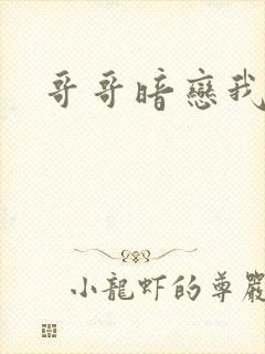 哥哥暗恋我