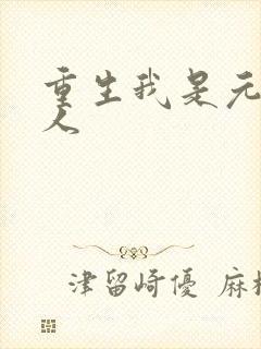 重生我是元帅夫人