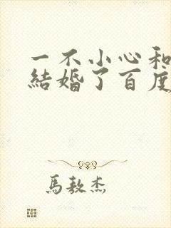 一不小心和醋精结婚了百度云