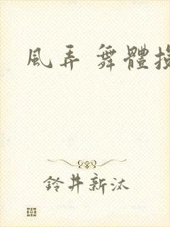 风弄 舞体投递