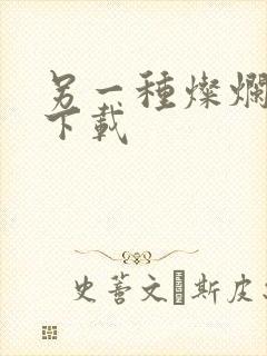 另一种灿烂生活下载