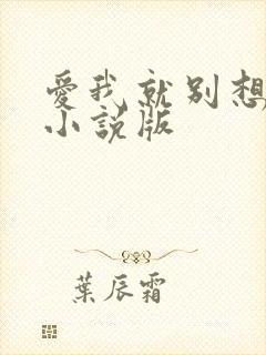 爱我就别想太多小说版