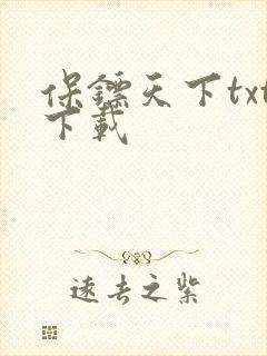 保镖天下txt下载