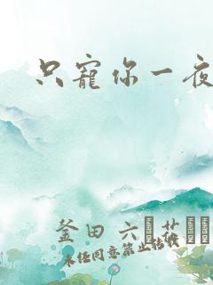 只宠你一夜