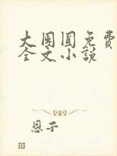 大团圆免费阅读全文小说