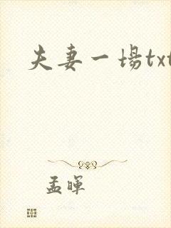夫妻一场txt
