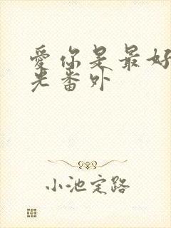 爱你是最好的时光番外