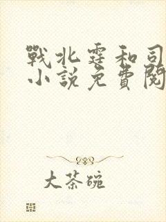 战北霆和司情的小说免费阅读