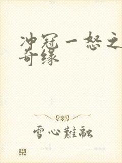 冲冠一怒之合租奇缘