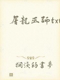 屠龙巫师txt