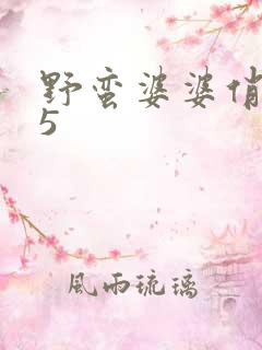 野蛮婆婆俏媳妇5