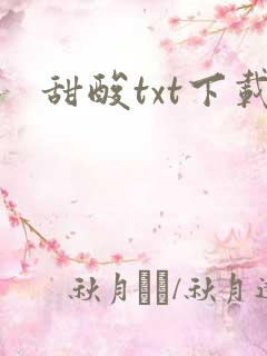 甜酸txt下载