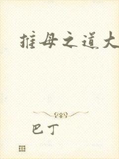 推母之道大结局