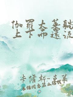 伽罗太华躺在床上下面还流东西