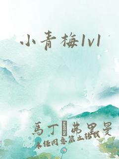 小青梅1v1