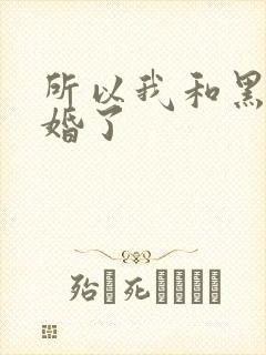 所以我和黑粉结婚了