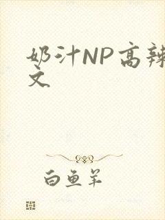 奶汁NP高辣H文