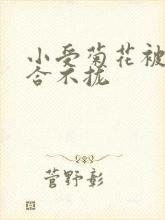 小受菊花被双龙合不拢