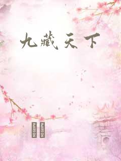 九藏天下