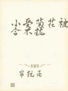 小受菊花被双龙合不拢