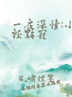 一夜深情:小叔轻点宠