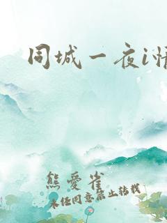 同城一夜i情