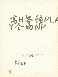 高H各种PLAY全肉NP
