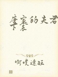 唐家的夫君们帘下衾