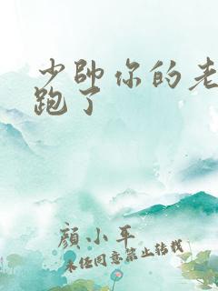 少帅你的老婆又跑了