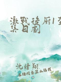 激战后厨1至5集日剧