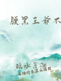 腹黑王爷不良妻