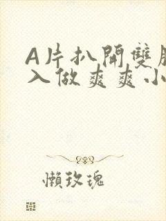 A片扒开双腿进入做爽爽小说