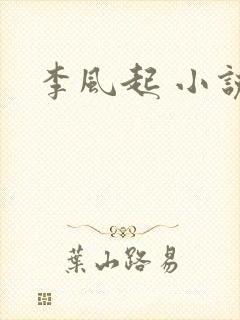 李风起 小说