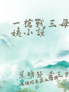 一枪战三母2雪姨小说