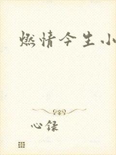 燃情今生小说