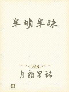 半明半昧