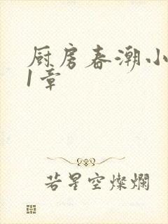 厨房春潮小说第1章