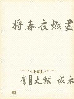 将春夜燃尽