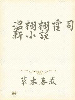 温栩栩霍司爵最新小说