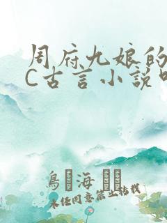 周府九娘的NPC古言小说叫什么